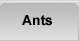 Ants